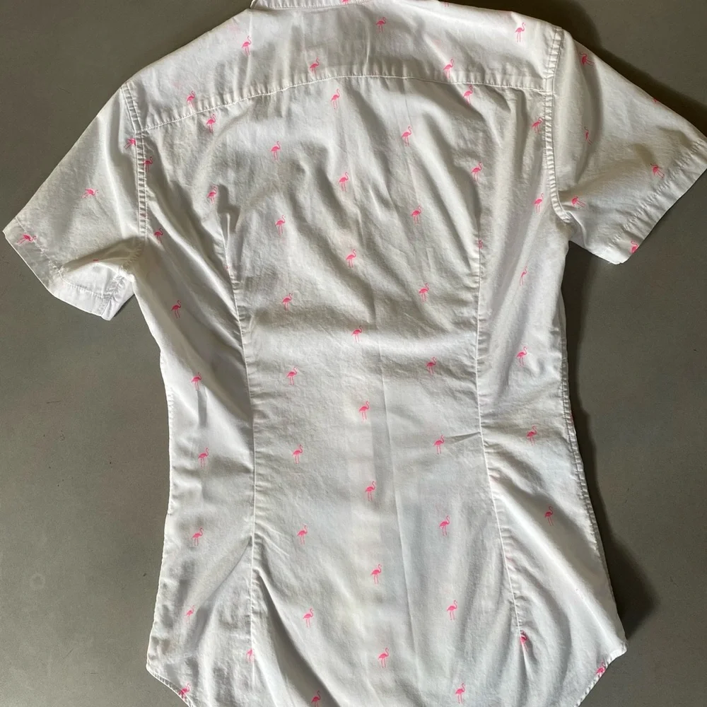 Bonobos Riviera - Picture 2 of 3